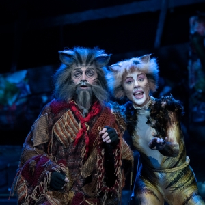 Tickets on Sale This Week For CATS at Theatre Royal Sydney Photo