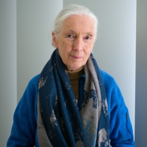 Ethologist And Activist Dr. Jane Goodall, REASONS FOR HOPE Tour Stops In Brooklyn Thi Photo