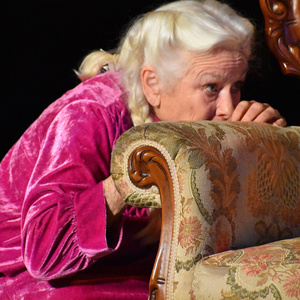Photos: WAITING IN THE WINGS To Open At Theatricum Botanicum Photo