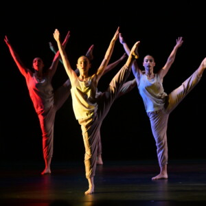 Daniel Lewis Dance Sampler To Perform At The New World Dance Theater Photo