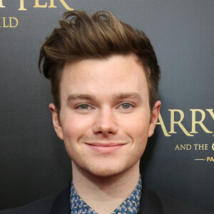 Chris Colfer Says He 'Knows Nothing' About Potential GLEE Reboot Photo