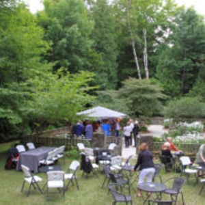 Door Shakespeare to Offer Pre-Show Picnics With Summer Productions Photo