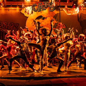 Photos: First Look at CATS THE MUSICAL at CM Performing Arts Center Photo