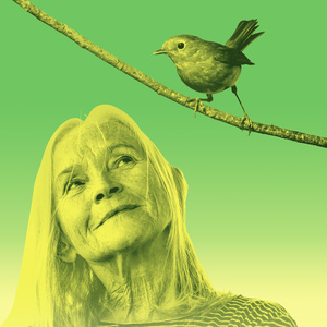 Cast Set For CARE By Alexander Zeldin at The Young Vic Photo