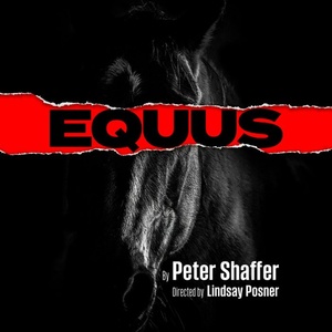 Full Cast Set For The Menier Chocolate Factory’s Revival of Peter Shaffer’s EQUUS Video