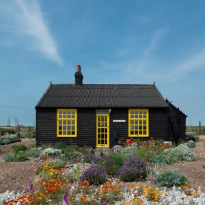 Derek Jarman: MODERN NATURE Comes to the Barbican Hall Photo