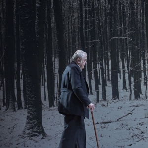 THEATRE DAY: THREE WINTERS Comes to Burgtheater This Week