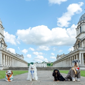 Old Royal Naval College To Present THE GREENWICH DOG SHOW and More This Spring Photo