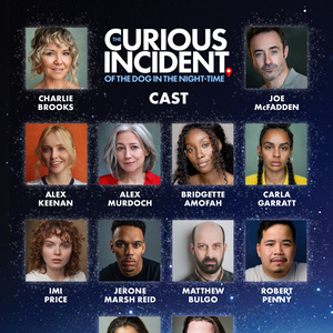 The Role of 'Chris' Will Be Played By Female Leads in THE CURIOUS INCIDENT OF THE DOG Photo