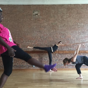 Stefanie Nelson Dancegroup Will Host EVERYONE DANCE, SPRING 25 Photo