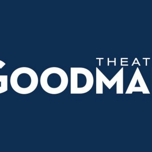 Roche Schulfer Will Step Down as Executive Director/CEO at the Goodman Theatre Photo