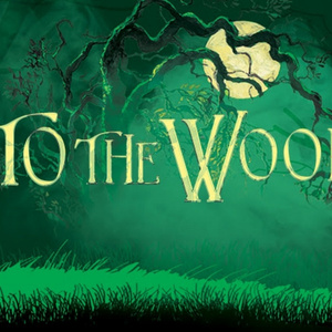 Full Cast Set for INTO THE WOODS at Cape Playhouse Photo