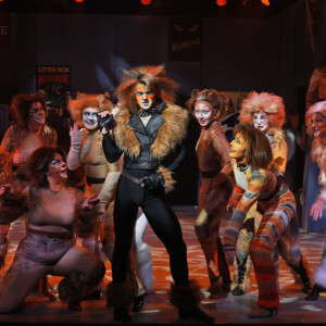 Photos: CATS Opens at Beef & Boards Dinner Theatre Photo