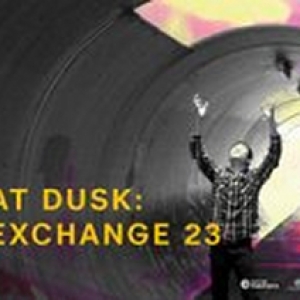 Arts & Cultural Exchange Launches ACE AT DUSK Next Month Photo