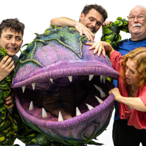Photos: LITTLE SHOP OF HORRORS in Rehearsal Ahead of Run at Hope Mill Theatre Photo