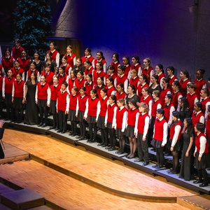 LA Children's Chorus to Launch 40th Anniversary West Coast Tour with Free Pasadena Co Photo