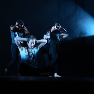 Darlington Hippodrome Dancers Perform at National Festival of Dance Photo