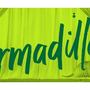 Factory Theatre Presents ARMADILLOS Next Month Video