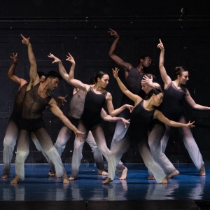 Amanda Selwyn Dance Theatre Performs World Premiere Of HABIT FORMED in March Photo