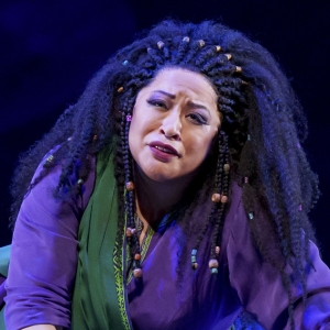 Photos: First Look At AIDA At Lyric Opera of Chicago Interview