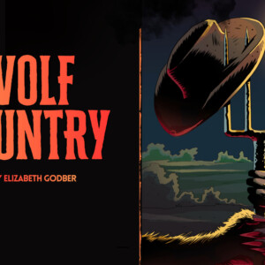WOLF COUNTRY to Open at Wilton's Musical Hall in January Photo
