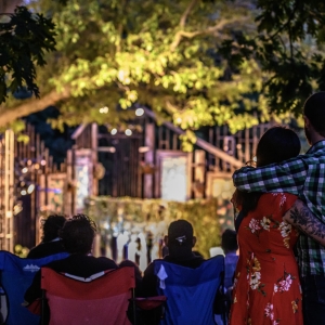  The Dream in High Park Returns This July with Qasim Khan as HAMLET Video