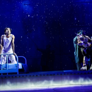 Tickets For LIFE OF PI at the Hippodrome Theatre Go on Sale Today