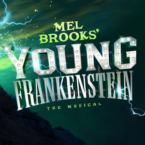 Daniel Brocklebank Will Lead YOUNG FRANKENSTEIN THE MUSICAL Liverpool Playhouse Trans Photo