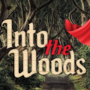 San Francisco Bay Area Theatre Company and SFArtsED Partner with YBCA to Present INTO THE  Photo