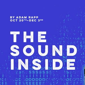 THE SOUND INSIDE Comes to Urbanite Theatre in October Photo