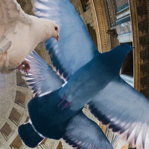 LA CLEMENZA DI TITO Comes to The Vienna State Opera Photo