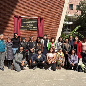 Develan En El Auditorio Al Aire Libre Del Conservatorio Nacional De Música La Placa Photo