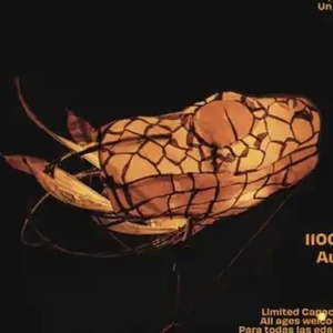 Giant Lantern Serpent Puppet Casssandra to Appear at Pease Park for 1-Night-Only Sunset En Photo