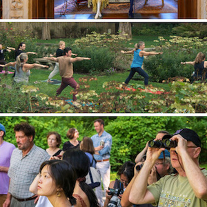 Caramoor Expands Community and Family Programming for 2026 Summer Season Photo
