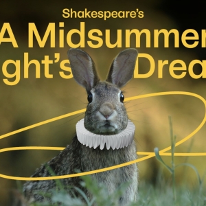 2023 Marks 40 Years of Dream in High Park