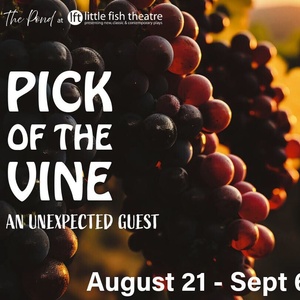 Interview: Director Michael Keith Allen on PICK OF THE VINE at Little Fish Theatre Photo