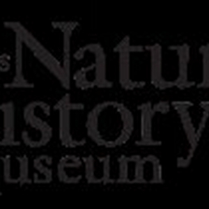 Las Vegas Natural History Museum Opens New International Wildlife Gallery, BIOMES BEY Photo