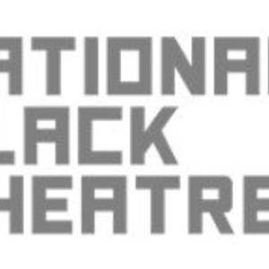 National Black Theatre Will Present Sarah Jones, Amy Sherald Stage Adaptations in 2026 Photo