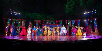 TWELFTH NIGHT Cast Celebrates Opening Night in the Park
