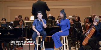 Norm Lewis, Joy Woods, More in SETH RUDETSKY & FRIENDS