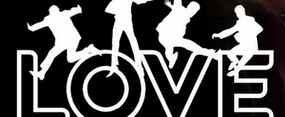 Cirque du Soleil Aerial Performer Falls During The Beatles LOVE Show