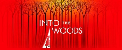 Review: Straight from Broadway, INTO THE WOODS at Belk Theater