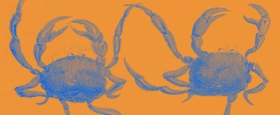 Playful CRABS IN A BUCKET By Bernardo Cubría Gets World Premiere At The Echo, July 15 - August 21