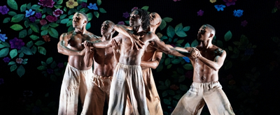 BWW Review: Alvin Ailey American Dance Theater Salutes The Ailey School with Tremendous Dancing