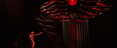 BWW Review: SLEEPING BEAUTY DREAMS KICKS OFF ITS TOUR IN NYC at Manhattan Center