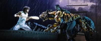 Review Roundup: Olivier Award-Winning LIFE OF PI Opens On Broadway Photo