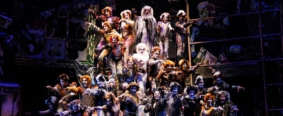 Review: CATS IS A “MEMORY” YOU WON'T FORGET at City Springs Theatre Company