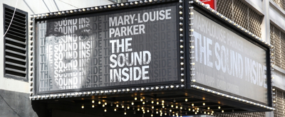 BWW TV: Watch Broadway Walk the Red Carpet on Opening Night of THE SOUND INSIDE