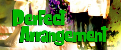 Old Opera House Theatre Company Presents PERFECT ARRANGEMENT