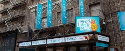BWW TV: Broadway Walks the Red Carpet on Opening Night of JAGGED LITTLE PILL